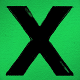 Black letter 'X' on a green background