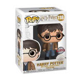 HARRY POTTER - HARRY W/TWO WANDS POP! RS