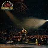 Concert scene with Niall Horan on stage at Madison Square Garden