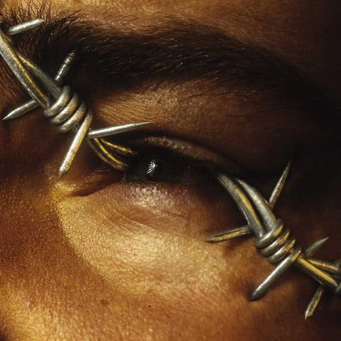 Close-up of a person's eye with barbed wire crossing it