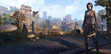 ELDER SCROLLS ONLINE - NARYU POP! 3
