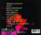 Foo Fighters Wasting Light Back