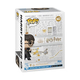 HARRY POTTER - HARRY W/SWORD & FANG POP! NY22 RS