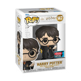HARRY POTTER - HARRY W/SWORD & FANG POP! NY22 RS