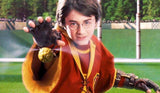 Harry Potter Photo