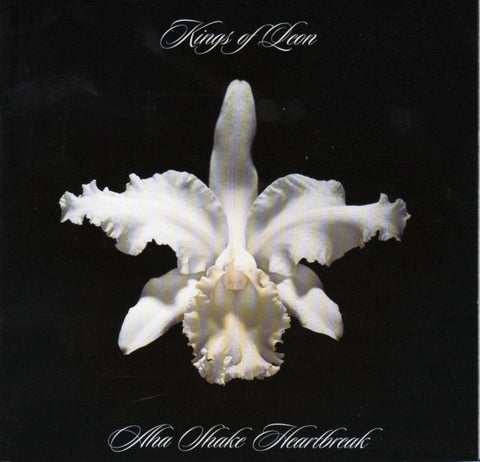 KINGS OF LEON - AHA SHAKE HEARTBREAK