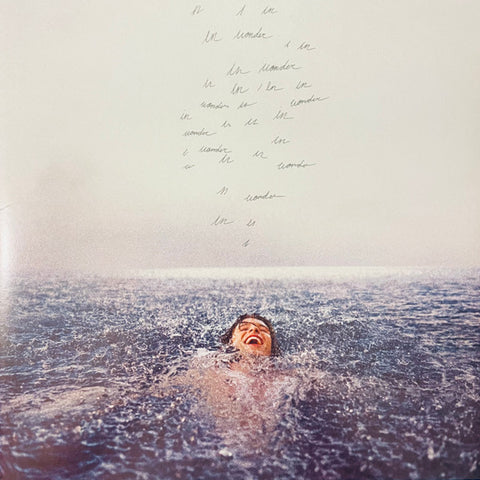 Shawn Mendes swimming in water with text above them, possibly lyrics or a message.