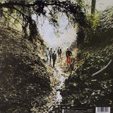The Rolling Stones in a creek bed with lots of foliage around them